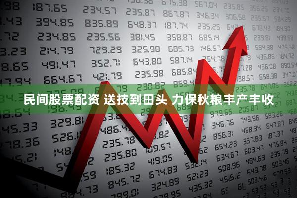 民间股票配资 送技到田头 力保秋粮丰产丰收